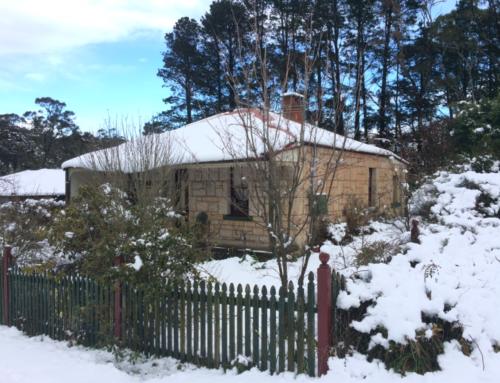 Snow in Katoomba!