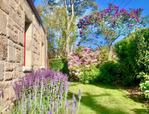 Brigadoon Herb Garden